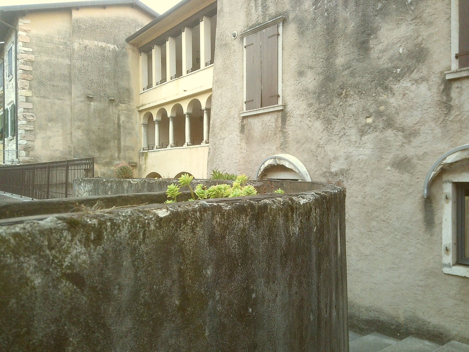 An Italian city concrete backyard.
